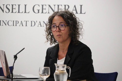 Casal sol·licita informació sobre assessoraments de diversos ministeris atorgats amb adjudicacions directes