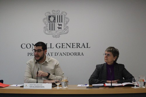 Els socialdemòcrates encomanen al Govern la creació d’un programa per a la compra de primer habitatge