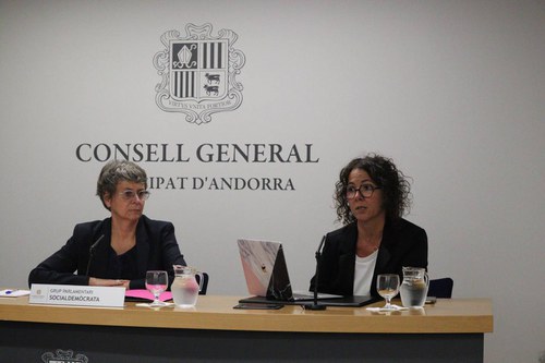 Els socialdemòcrates presenten la Llei a l’oblit sanitari